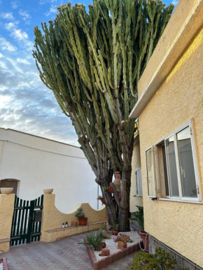 Casa Euphorbia Portoscuso